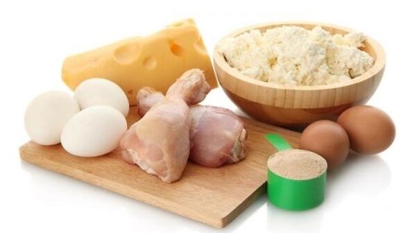protein foods for dieting